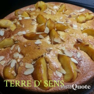 Moelleux aux Pommes-Amandes effilees